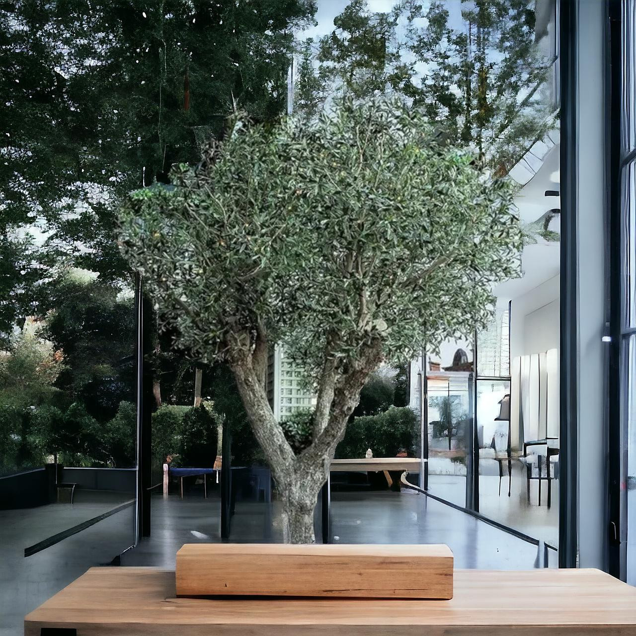 artificial olive trees