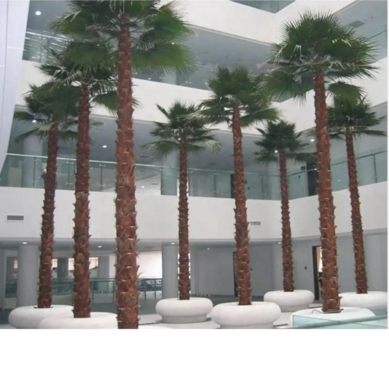 artificial palm trees for indoors