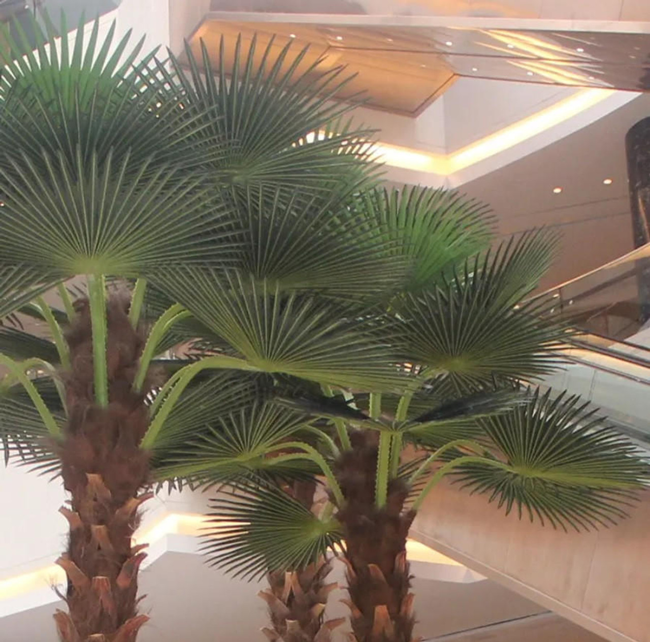 artificial palm trees outdoor