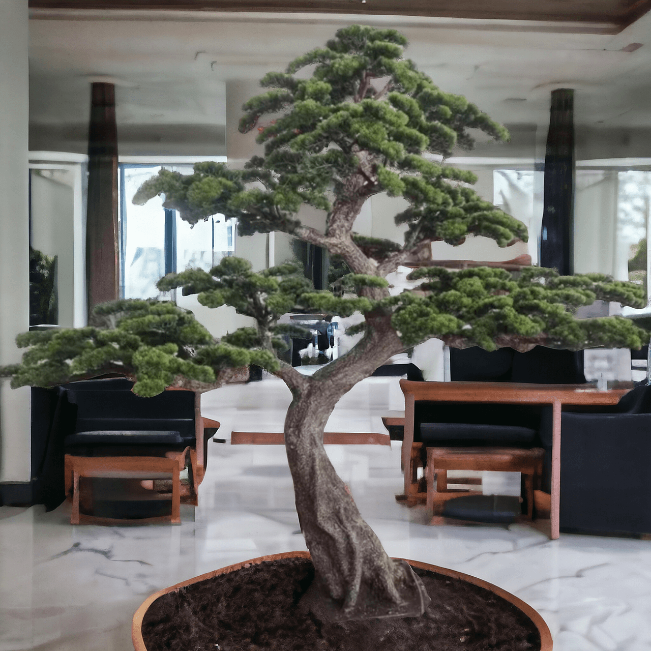 bonsai drvo jeddah